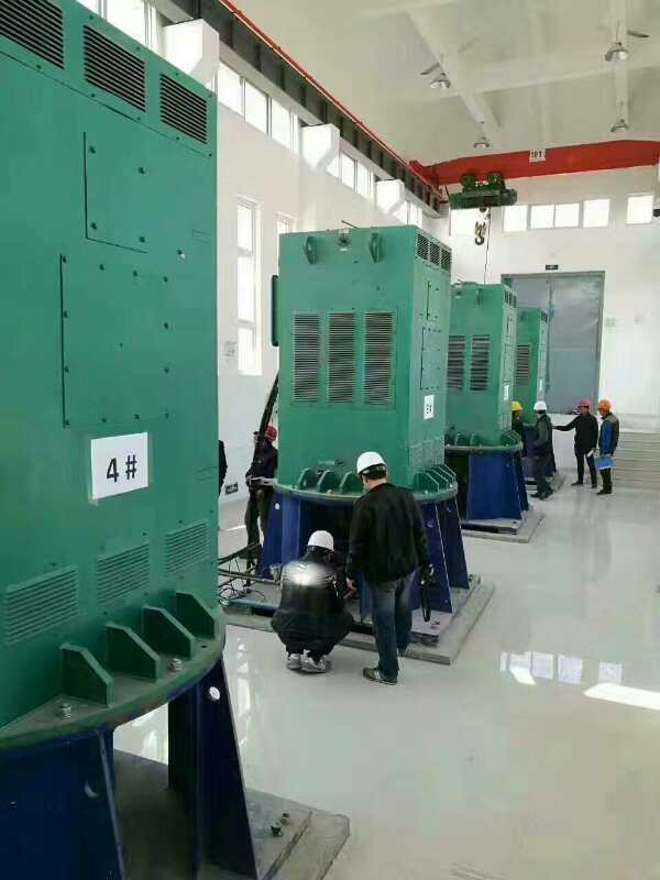 阜宁某污水处理厂使用我厂的立式高压电机安装现场