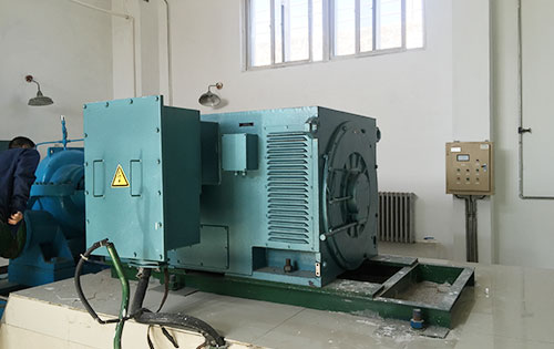 阜宁某水电站工程主水泵使用我公司高压电机